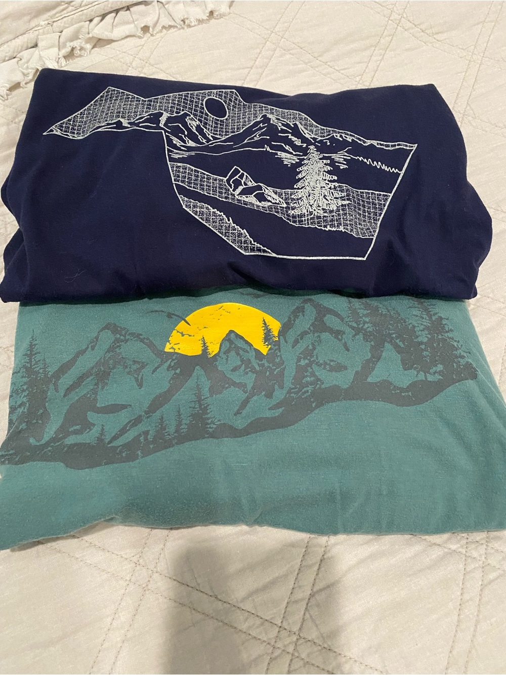 Goodfellow & Co Navy and Teal Graphic Short Sleeve Tee Duo